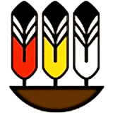 Ryerson’s Centre for Indigenous Governance